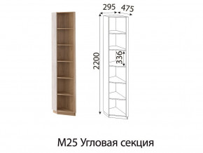 М25 Угловая секция в Покачи - pokachi.magazinmebel.ru | фото